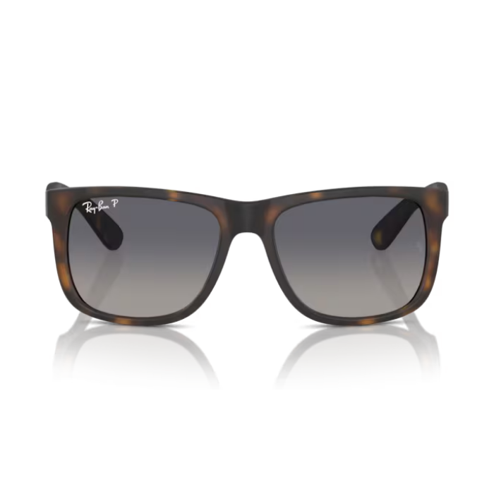 KÍNH MÁT RAYBAN RB4165F