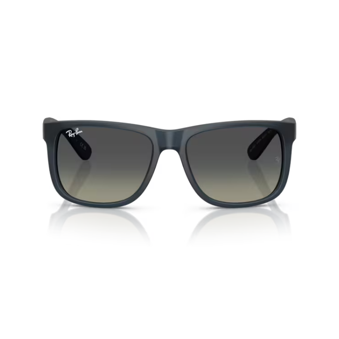 KÍNH MÁT RAYBAN 0RB4165F 68131155