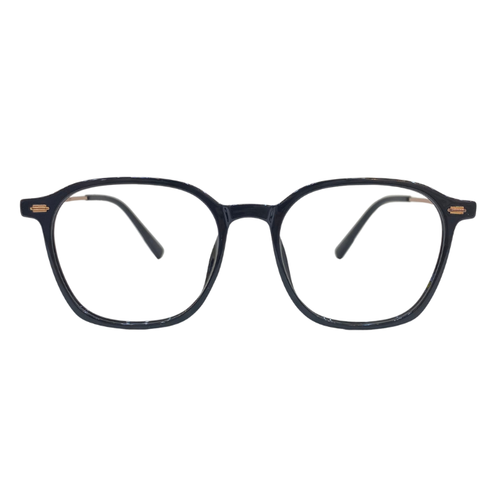 GỌNG KÍNH LUKNO 8606 (51-19-145)
