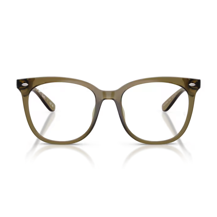 GỌNG KÍNH RAYBAN ORX4379VD