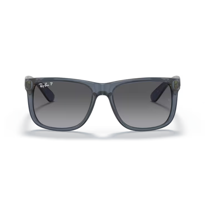 KÍNH MÁT RAYBAN 0RB4165