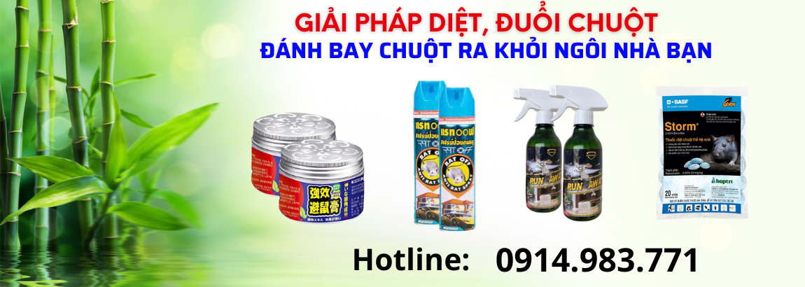 Ant Điện Máy