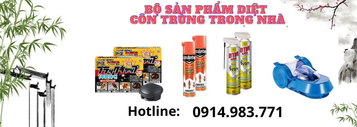 Ant Điện Máy