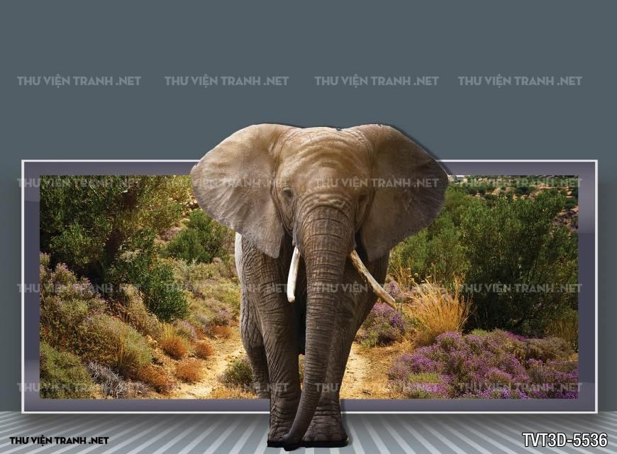 Tranh dán tường 3D voi
