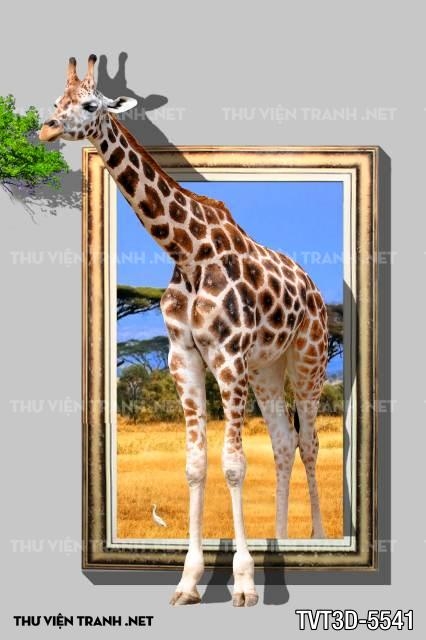 Tranh dán tường 3D hươu cao cổ