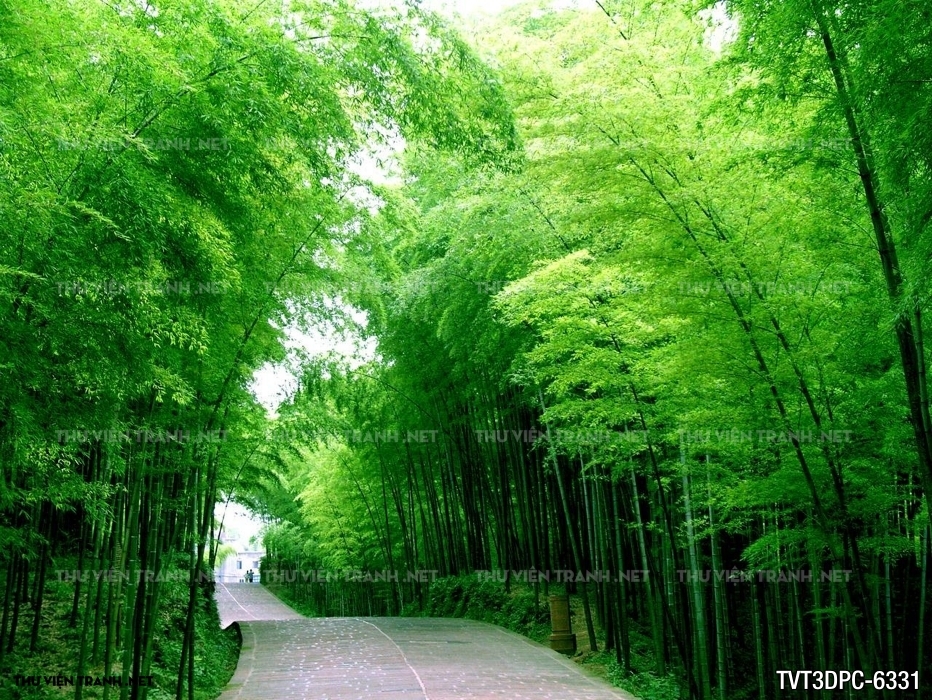 Tranh phong cảnh