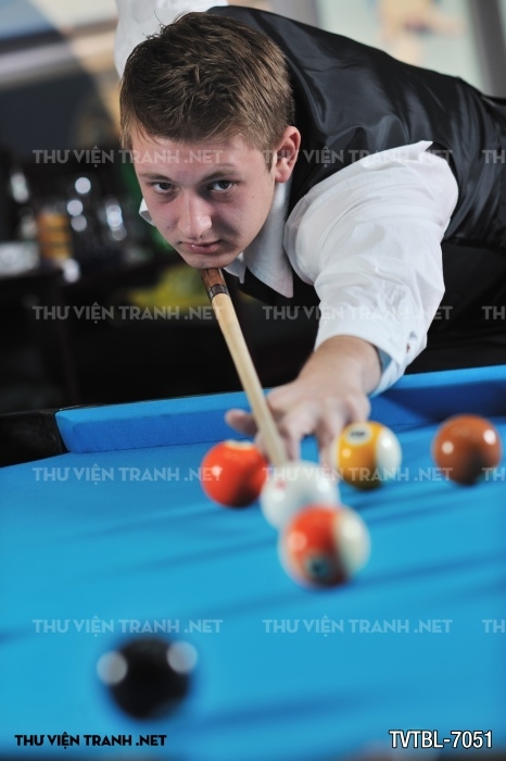 Tranh Bida- Billiards