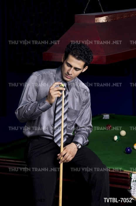 Tranh Bida- Billiards