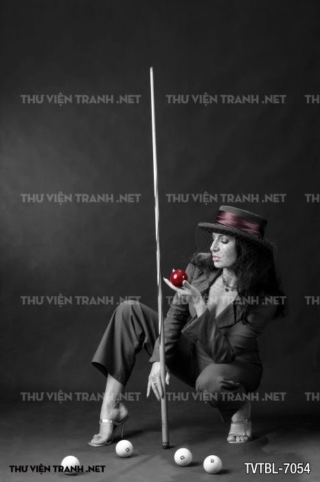 Tranh Bida- Billiards