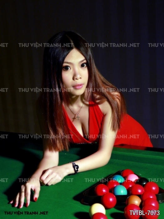 Tranh Bida- Billiards