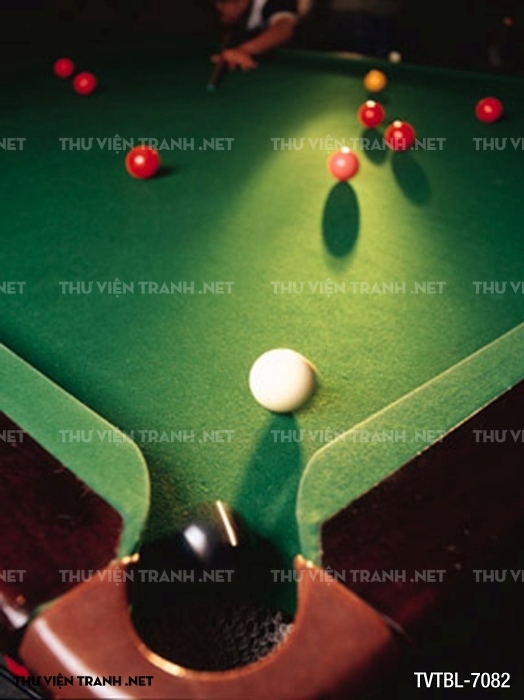 Tranh Bida- Billiards