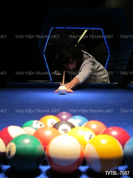 Tranh Bida- Billiards