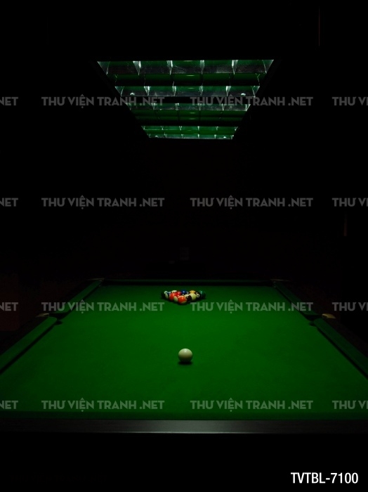 Tranh Bida- Billiards