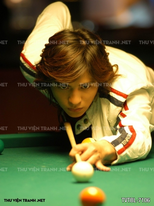 Tranh Bida- Billiards