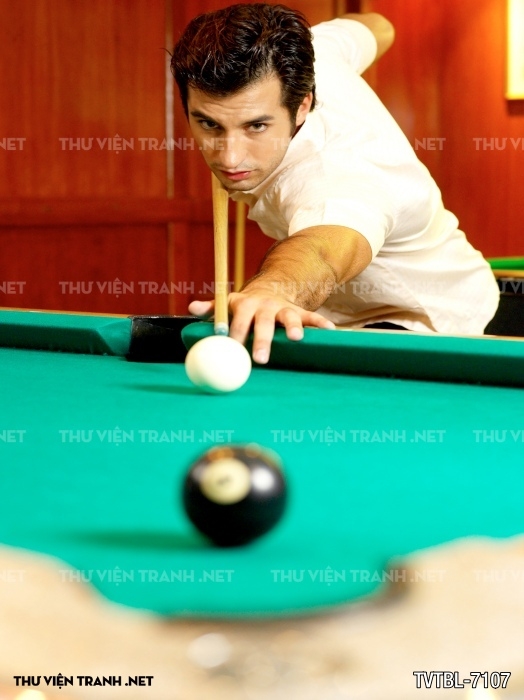 Tranh Bida- Billiards