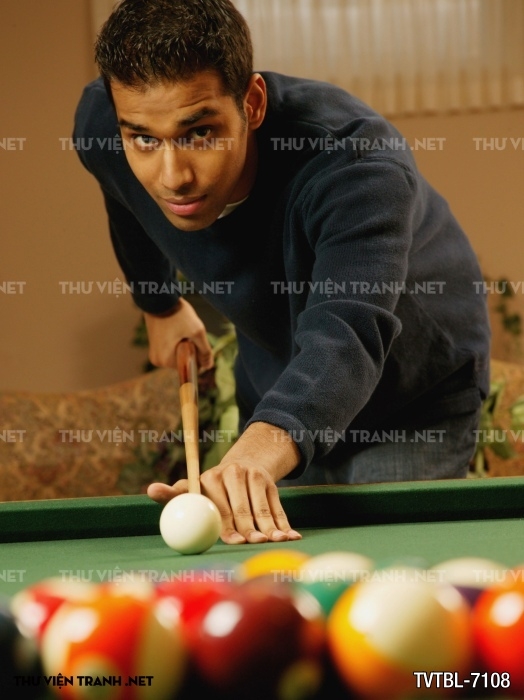 Tranh Bida- Billiards