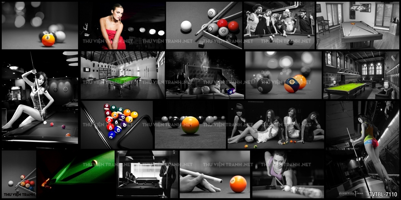Tranh Bida- Billiards