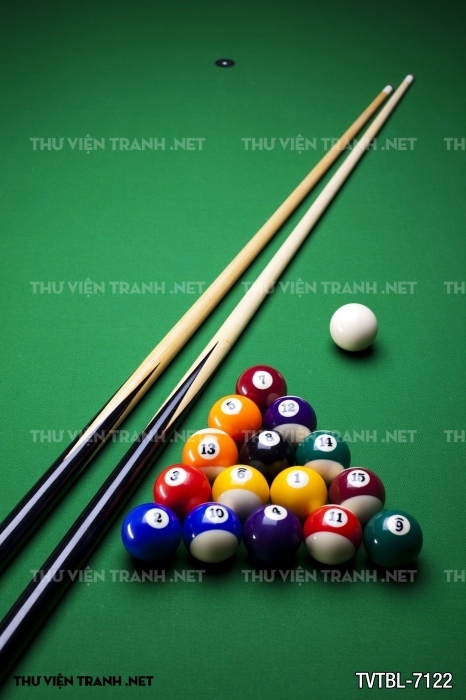 Tranh Bida