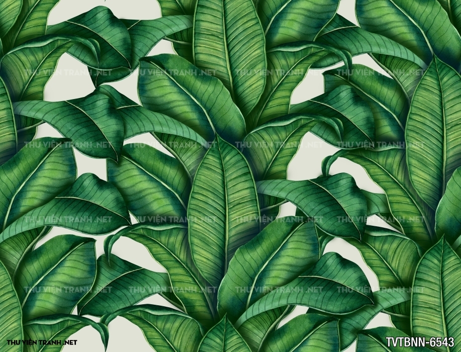 Tranh dán tường lá chuối- Banana Leaf