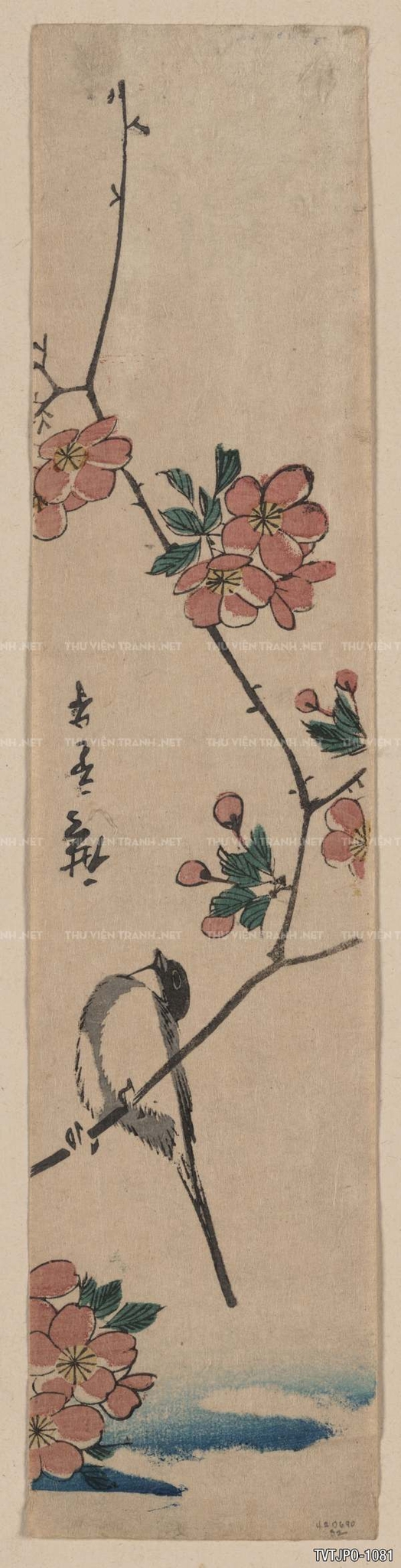 Tranh Nhật Bản  cổ Ukiyo-e -Ancient Japanese woodblock prints.