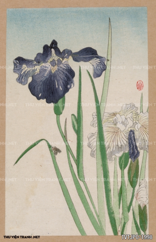 Tranh Nhật Bản  cổ Ukiyo-e -Ancient Japanese woodblock prints 7