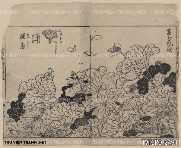 Tranh vẽ Nhật Bản cổ của các bậc thầy Ukiyo-e