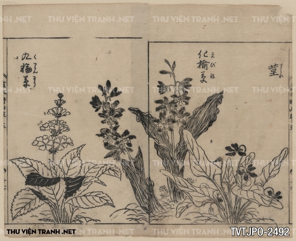 Tranh vẽ Nhật Bản cổ của các bậc thầy Ukiyo-e