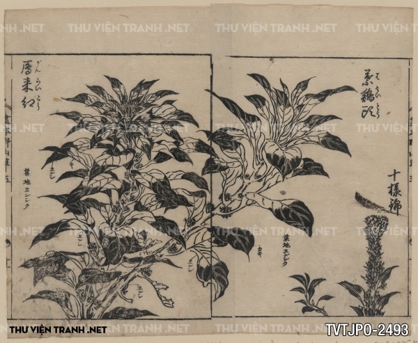 Tranh vẽ Nhật Bản cổ của các bậc thầy Ukiyo-e