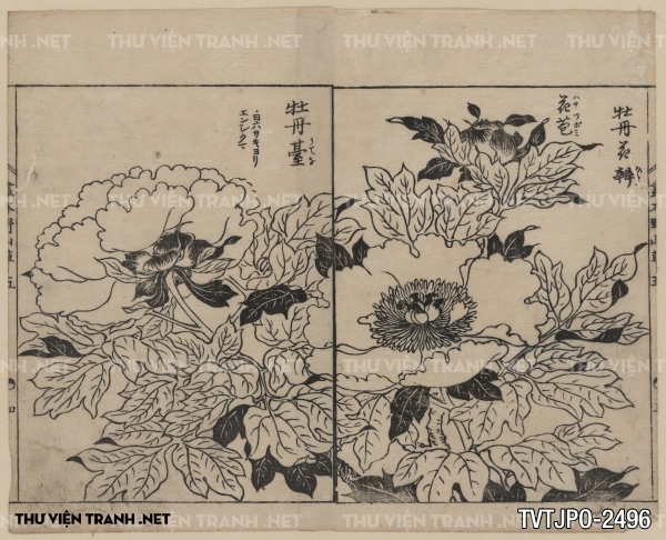 Tranh vẽ Nhật Bản cổ của các bậc thầy Ukiyo-e