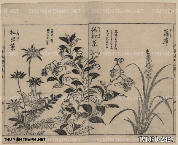 Tranh vẽ Nhật Bản cổ của các bậc thầy Ukiyo-e