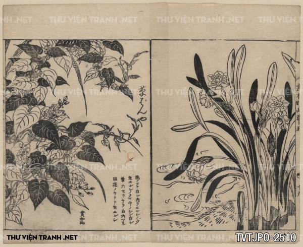 Tranh vẽ Nhật Bản cổ của các bậc thầy Ukiyo-e