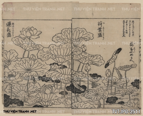Tranh vẽ Nhật Bản cổ của các bậc thầy Ukiyo-e