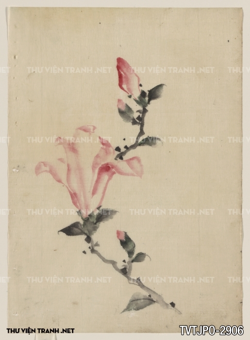 Tranh Nhật cổ Ukiyo-e vẽ tay 2