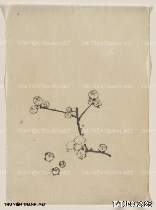 Tranh cổ Nhật Bản vẽ tay