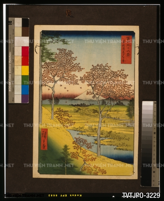 Tranh Nhật Bản Cổ Vễ Tay