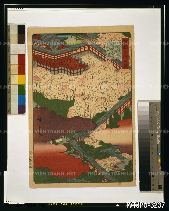 Tranh Nhật Bản Cổ Vễ Tay
