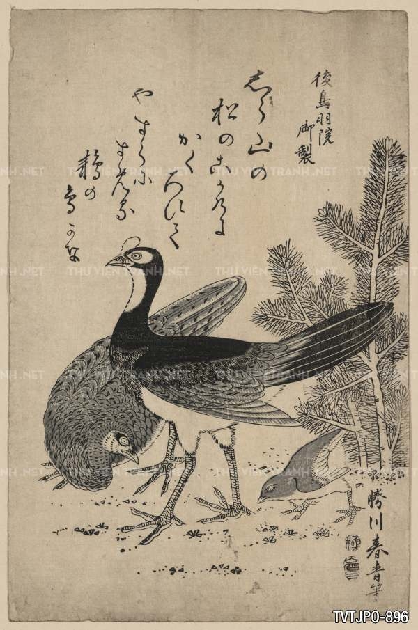Ancient Japanese woodblock prints- Tranh khắc gỗ cổ Nhật Bản