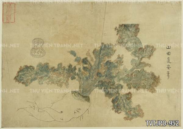 Ancient Japanese woodblock prints- Tranh cổ Nhật Bản xưa