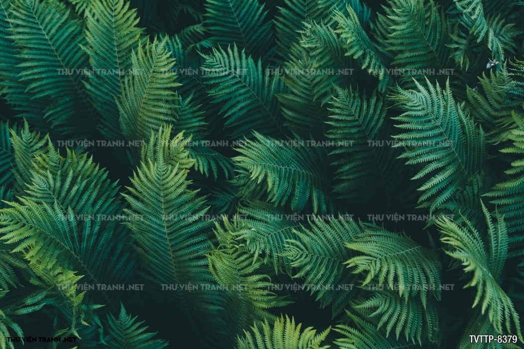 Tranh cây lá nhiệt đới, thực vật nhiệt đới- Tropical Leaves- Tropical plants