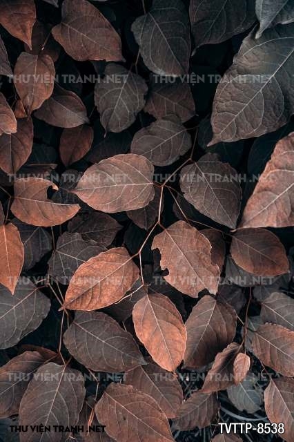 Tranh cây lá nhiệt đới, thực vật nhiệt đới