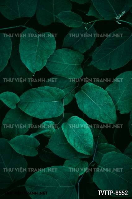 Tranh cây lá nhiệt đới, thực vật nhiệt đới