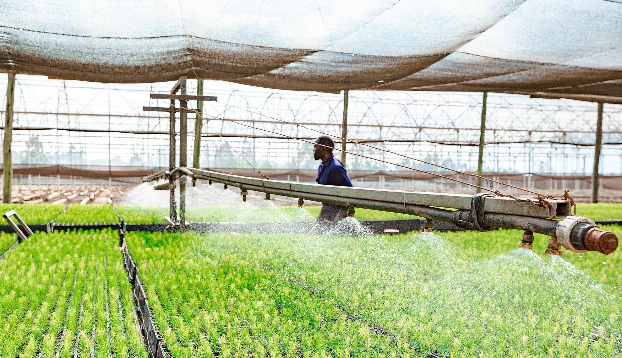 Nông nghiệp công nghệ cao là gì? Top 7 ứng dụng Nông nghiệp công nghệ cao trong sản xuất