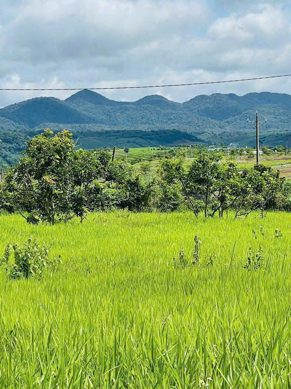 Bảo Lộc Park Hill 4E