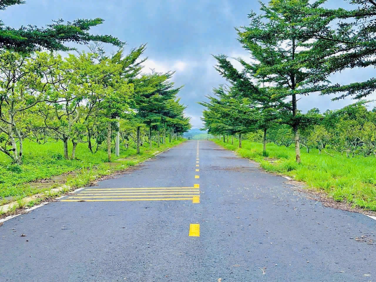Bảo Lộc Park Hill 4E