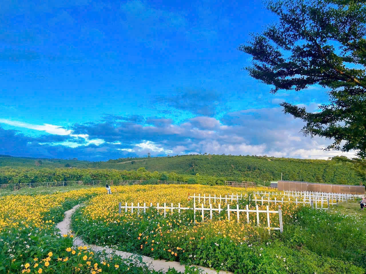 Tại sao nên đầu tư Khu Dân Cư Park Hill 4E?