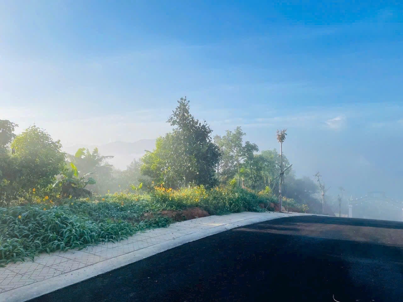 Top Garden Hill 9B – Cơ Hội Đầu Tư Đất Nền Hiếm Có Tại Bảo Lâm, Giá Tốt Trước Khi Cao Tốc Mở