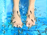 Massage cá