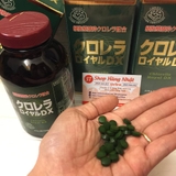 hop-1000-vien-tao-xanh-tao-luc-hoang-gia-chlorella-royal-dx-nhat-ban