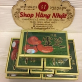 nam-linh-chi-do-nissan-reishi