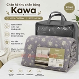 KAWA4946620-chan-he-thu-chan-bong-kawa-100-cotton-size-2x2-2m-hoa-nhi